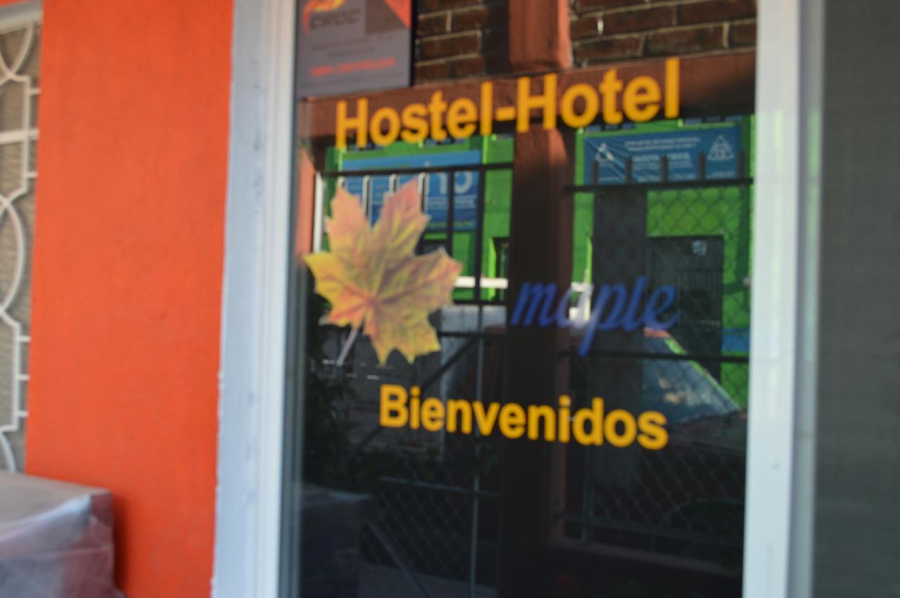 Hostal Maple Керетаро Экстерьер фото